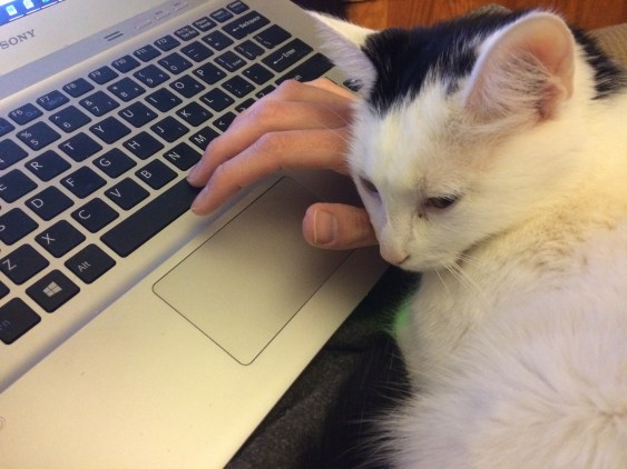 speck-helping-me-type