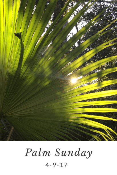 Palm Sunday.png